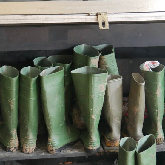 wellies r