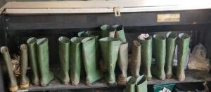 wellies r